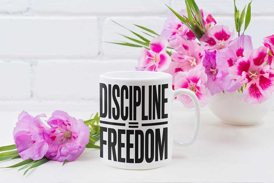 Discipline = Freedom Design 3